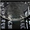 Image 6 : ***Auction Highlight*** 1884-o Morgan Dollar $1 Graded Choice Unc+ DMPL BY USCG (fc)