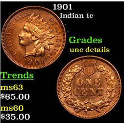1901 Indian Cent 1c Grades Unc Details