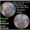 Image 1 : 1900-o Colorfully Toned Morgan Dollar $1 Grades Choice+ Unc