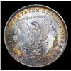 Image 3 : ***Auction Highlight*** 1884-o Rainbow Toned Morgan Dollar $1 Graded GEM++ Unc By USCG (fc)