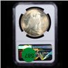 Image 3 : NGC 1922-p Colorfully Toned Peace Dollar $1 Graded ms63 By NGC
