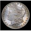 Image 2 : 1884-o Colorfully Toned Morgan Dollar $1 Grades GEM Unc