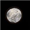 Image 3 : ***Auction Highlight*** 1923-p Solid Uncirculated Peace Dollar Shotgun Roll (fc)