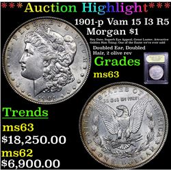 ***Auction Highlight*** 1901-p Vam 15 I3 R5 Morgan Dollar $1 Graded Select Unc By USCG (fc)