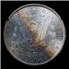Image 3 : ***Auction Highlight*** 1884-cc GSA Monster Rainbow Toned  Morgan Dollar $1 Grades Select Unc (fc)