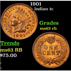 1901 Indian Cent 1c Grades Select Unc RB