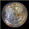 Image 3 : ***Auction Highlight*** 1885-o Monster Rainbow Toned Morgan Dollar $1 Graded Choice Unc BY USCG (fc)