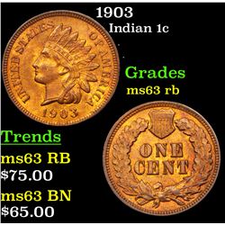 1903 Indian Cent 1c Grades Select Unc RB