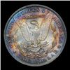 Image 3 : ***Auction Highlight*** 1881-p Rainbow Toned Morgan Dollar $1 Graded Choice+ Unc By USCG (fc)