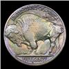 Image 3 : ***Auction Highlight*** 1919-d Buffalo Nickel 5c Graded Choice+ Unc By USCG (fc)