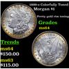 Image 1 : 1899-o Colorfully Toned Morgan Dollar $1 Grades Choice Unc