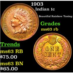1903 Indian Cent 1c Grades Select Unc RB