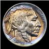 Image 2 : 1924-d Buffalo Nickel 5c Grades AU, Almost Unc