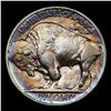 Image 3 : 1924-d Buffalo Nickel 5c Grades AU, Almost Unc