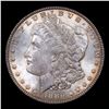 Image 2 : 1886-p Morgan Dollar $1 Grades Choice Unc