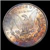 Image 3 : 1881-s Rainbow Toned Morgan Dollar $1 Grades Choice+ Unc