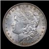 Image 2 : 1884-o Vam 41 R5 Morgan Dollar $1 Grades Choice+ Unc