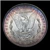 Image 3 : ***Auction Highlight*** 1887-p Morgan Dollar $1 Graded GEM++ Unc By USCG (fc)