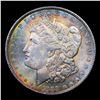 Image 2 : ***Auction Highlight*** 1889-p Rainbow Toned Vam 16 Morgan Dollar $1 Graded GEM Unc By USCG (fc)