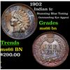 Image 1 : 1902 Indian Cent 1c Grades GEM+ Unc BN