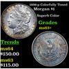 Image 1 : 1896-p Colorfully Toned Morgan Dollar $1 Grades Select+ Unc