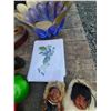 Image 12 : Glass Fruit & Native Dolls Cat A