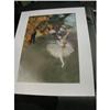 Image 1 : DEGAS EDGAR L'ETOILE OU DANSEUSE SUR SCENE, #1242985
