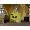 Image 2 : 3 TROPHIES