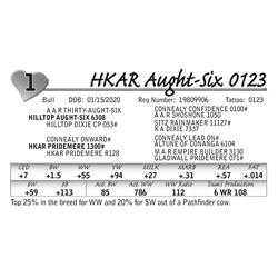 HKAR Aught-Six 0123