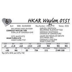 HKAR Waylon 0151