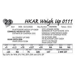 HKAR Weigh Up 0111