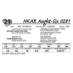 HKAR Aught-Six 0281