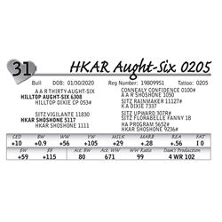 HKAR Aught-Six 0205