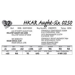 HKAR Aught-Six 0250