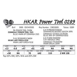 HKAR Power Tool 0289