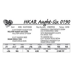 HKAR Aught-Six 0190