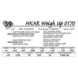 HKAR Weigh Up 0170