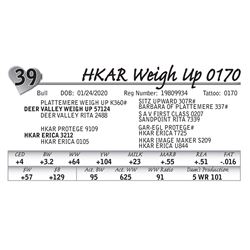 HKAR Weigh Up 0170