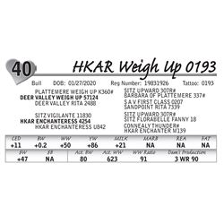 HKAR Weigh Up 0193