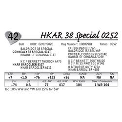 HKAR 38 Special 0252