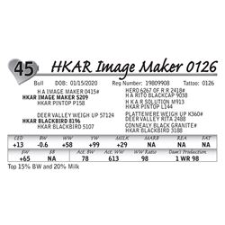 HKAR IMAGE MAKER 0126