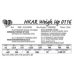 HKAR Weigh Up 0116