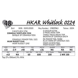 HKAR Whitlock 0224