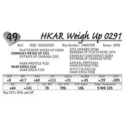 HKAR Weigh Up 0291