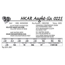 HKAR Aught-Six 0225