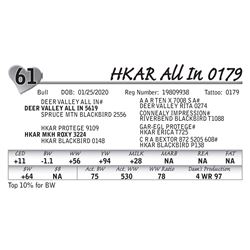 HKAR All In 0179