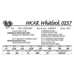 HKAR Whitlock 0237