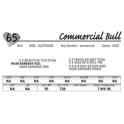 Commercial Bull