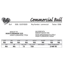 Commercial Bull