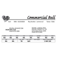 Commercial Bull